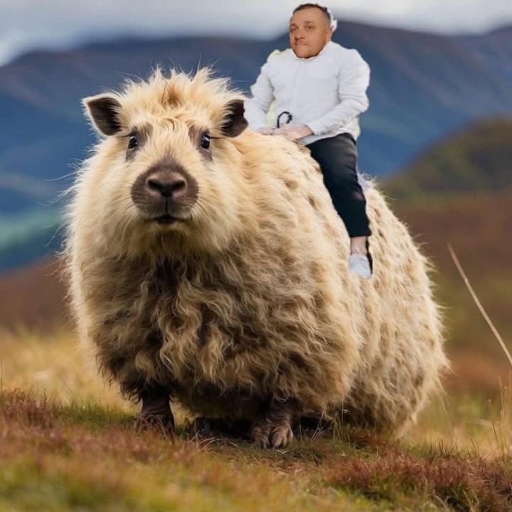 Rabgee